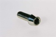 tcce (din912)  m10x70