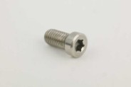 tcei torx (special)  m5x20
