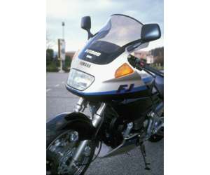 CUPOLINO ALTO ERMAX PER FJ 1200 91/99 TRASPARENTE 