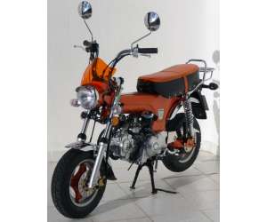 CUPOLINO DOPPIA BOMBATURA (+ FIT KIT )ERMAX PER DAX SKYTEAM 