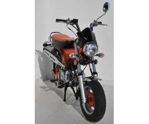 CUPOLINO DOPPIA BOMBATURA (+ FIT KIT )ERMAX PER DAX SPIGAOU 