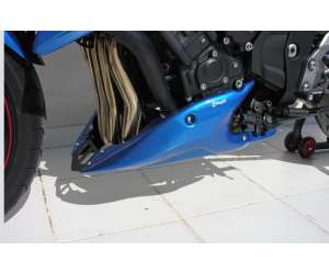 PUNTALE ERMAX PER FZ1 / FZ1 FAZER 2006 ANTHRACITE GRIGIO (EXCEPT ABS )(SILVER TECK/S3 )