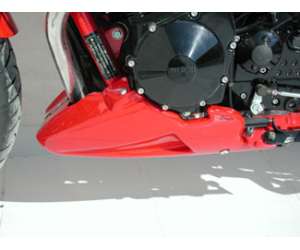 PUNTALE ERMAX PER GSF 650 BANDIT 2006 METAL ANTHRACITE GRIGIO (YHG )