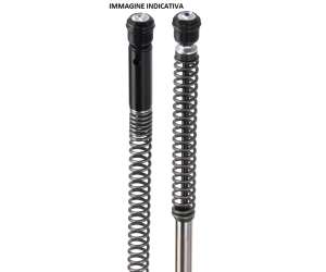 CARTUCCIA presurizzata - Regolazioni: precarico molla manuale  Estensione  ribassabile fino a -10mm  Compressione SENZA Olio  CLASSIC PER MOTO GUZZI V7 RACER  750 ANNO  2012 - 2013