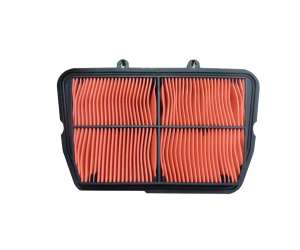 FILTRO ARIA TRIUMPH 800 TIGER11- PRODOTTO DA HIFLO FILTRO