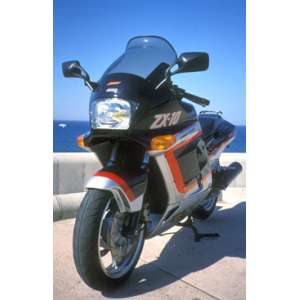 CUPOLINO ALTO ERMAX PER ZX 10 TOMCAT VIOLA 