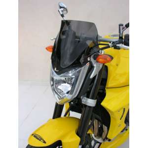   CUPOLINO ERMAX 27 CM PER FZ1 (+KIT FIX )2006/2015 TRASPARENTE 