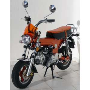 CUPOLINO DOPPIA BOMBATURA (+ FIT KIT )ERMAX PER DAX SKYTEAM 