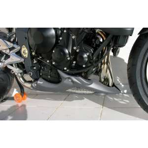 PUNTALE ERMAX PER STREET TRIPLE 675 R 2011 AMBER (INTENSE ARANCIO )