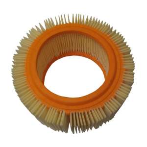 FILTRO ARIA APE TM 220 1982 - 1983 - 1984 - 1985 - 1986 - 1987 - 1988 - 1989 - 1990 - 1991 - 1992 - 1993 - 1994 - 1995 - 1996 - 1997 - 1998 - 1999 - 2000 - 2001 - 2002 - 2003 - 2004 - 2005 - 2006 - 2007 - 2008 - 2009 - 2010 - 2011 - 2012P602 / P703 PRODOT