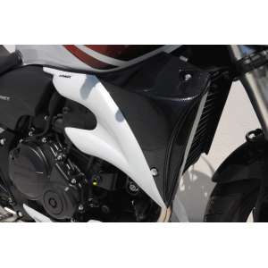 COPRIRADIATORI (AL PAIO) ERMAX PER CB 600 HORNET BICOLORE 2008/2009 SILVER CARBON LOOK METALLIC BLU (PERLA FIJI BLU )